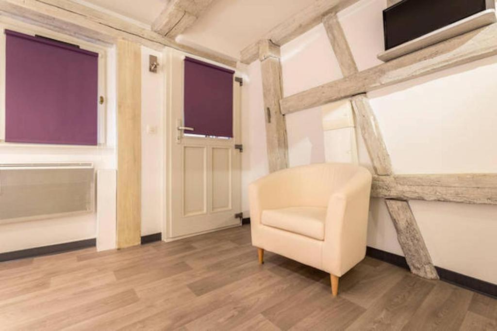 Historic City Center - Petite Venise Suites كولمار المظهر الخارجي الصورة