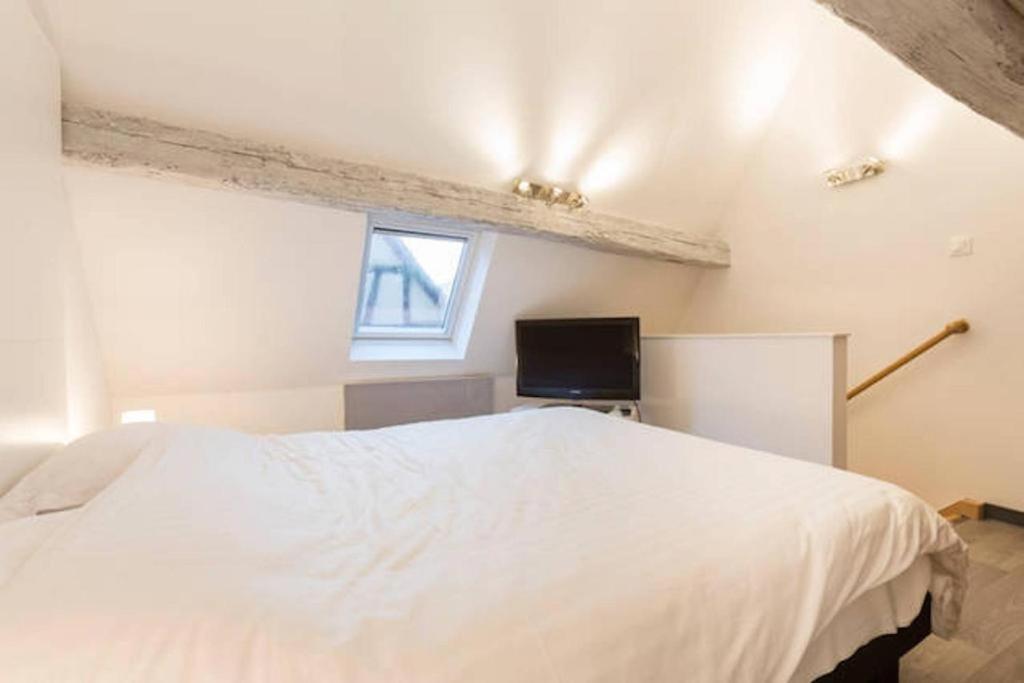 Historic City Center - Petite Venise Suites كولمار المظهر الخارجي الصورة
