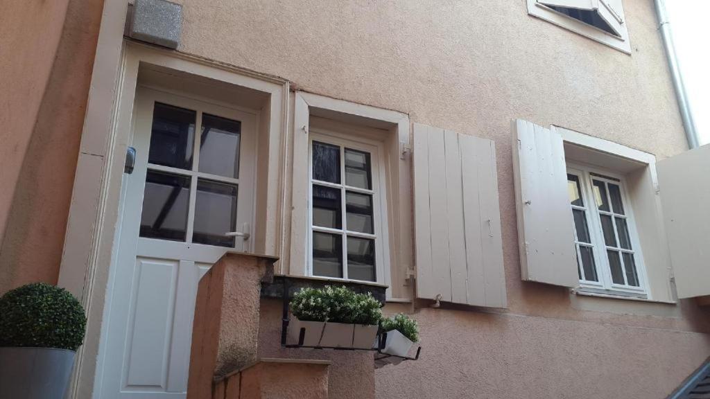 Historic City Center - Petite Venise Suites كولمار المظهر الخارجي الصورة