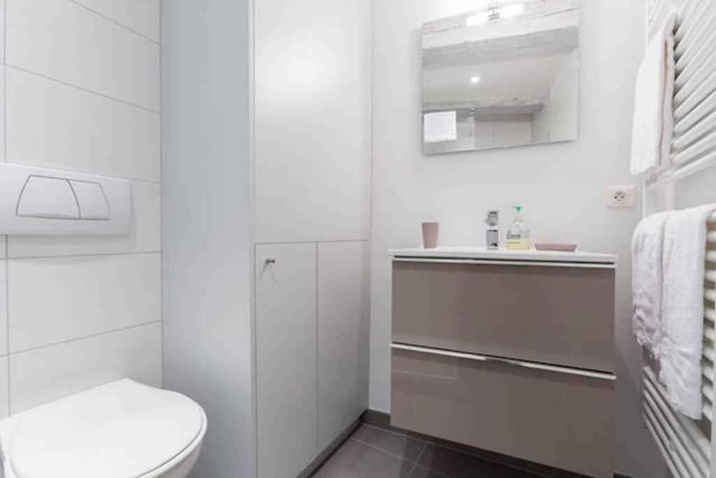 Historic City Center - Petite Venise Suites كولمار المظهر الخارجي الصورة