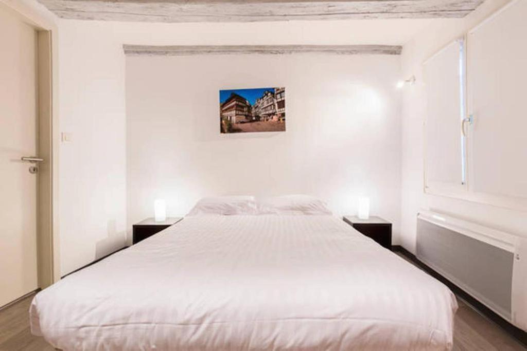 Historic City Center - Petite Venise Suites كولمار المظهر الخارجي الصورة